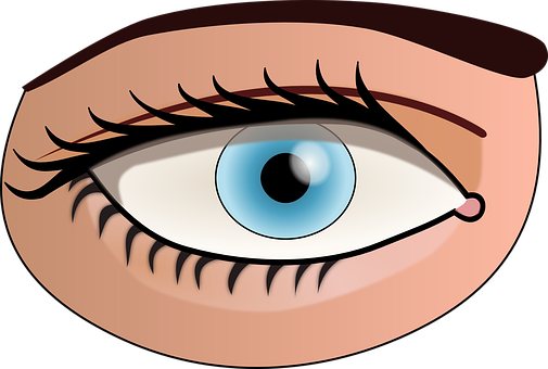 Cartoon Eye Illustration PNG
