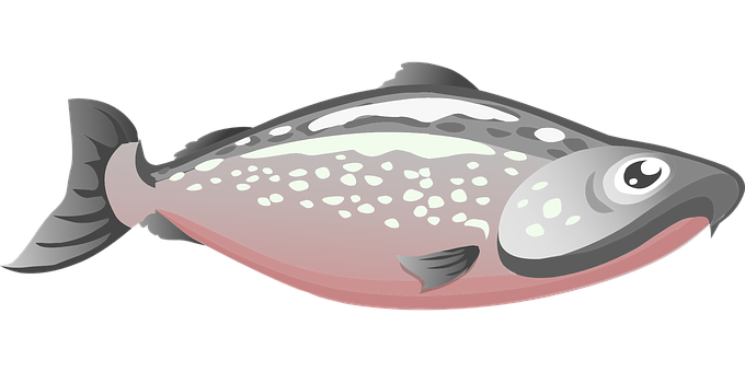 Cartoon_ Flatfish_ Illustration PNG