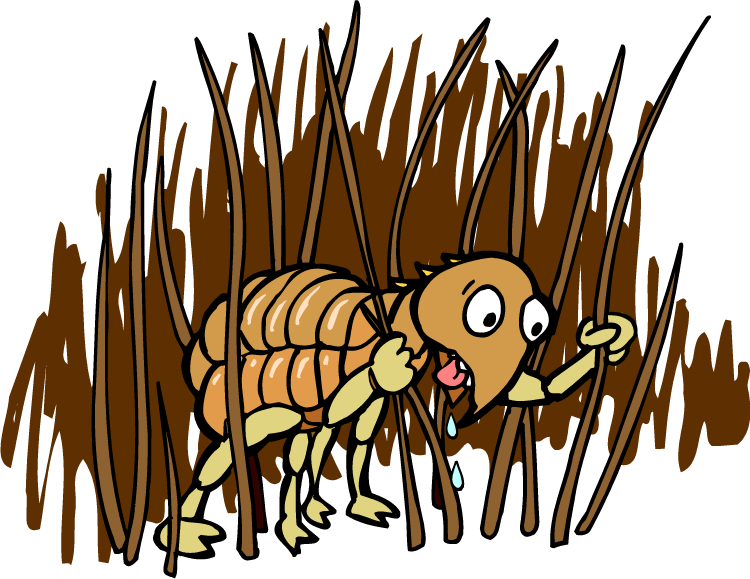 Cartoon Flea In Grass PNG