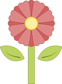 Cartoon Flower Illustration PNG