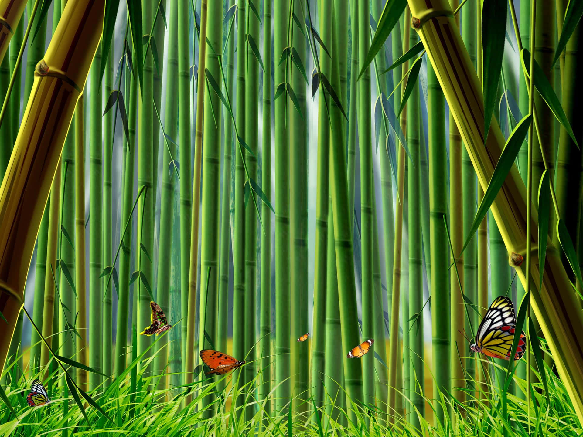 A Green Bamboo Forest With Butterflies