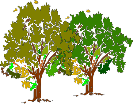 Cartoon Forest Trees Illustration PNG