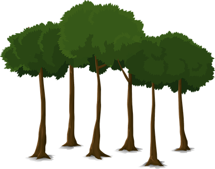 Cartoon Forest Trees Vector PNG