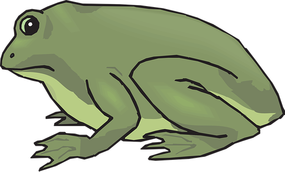 Cartoon Frog Side View Illustration PNG