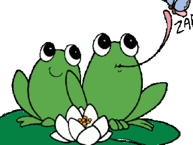 Cartoon Frogsand Dragonfly PNG