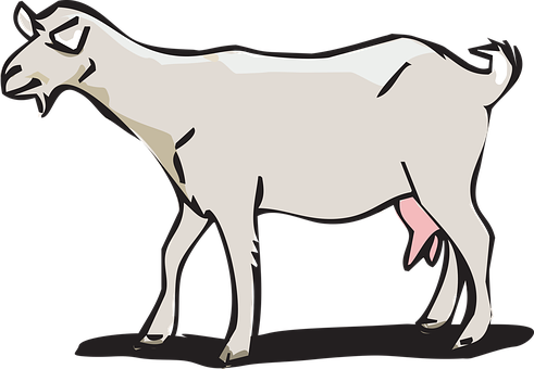 Cartoon Goat Illustration PNG