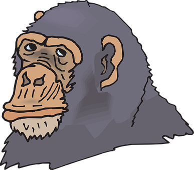 Cartoon Gorilla Profile Illustration PNG