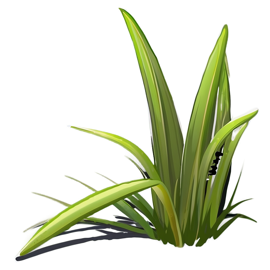Cartoon Grass Blades Png Ads19 PNG