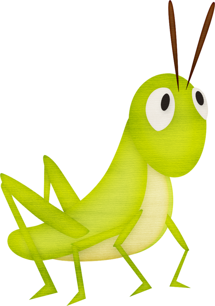 Cartoon Grasshopper Illustration PNG