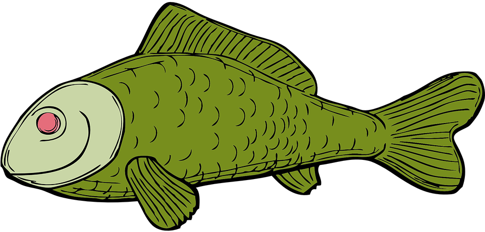 Cartoon Green Fish Illustration PNG