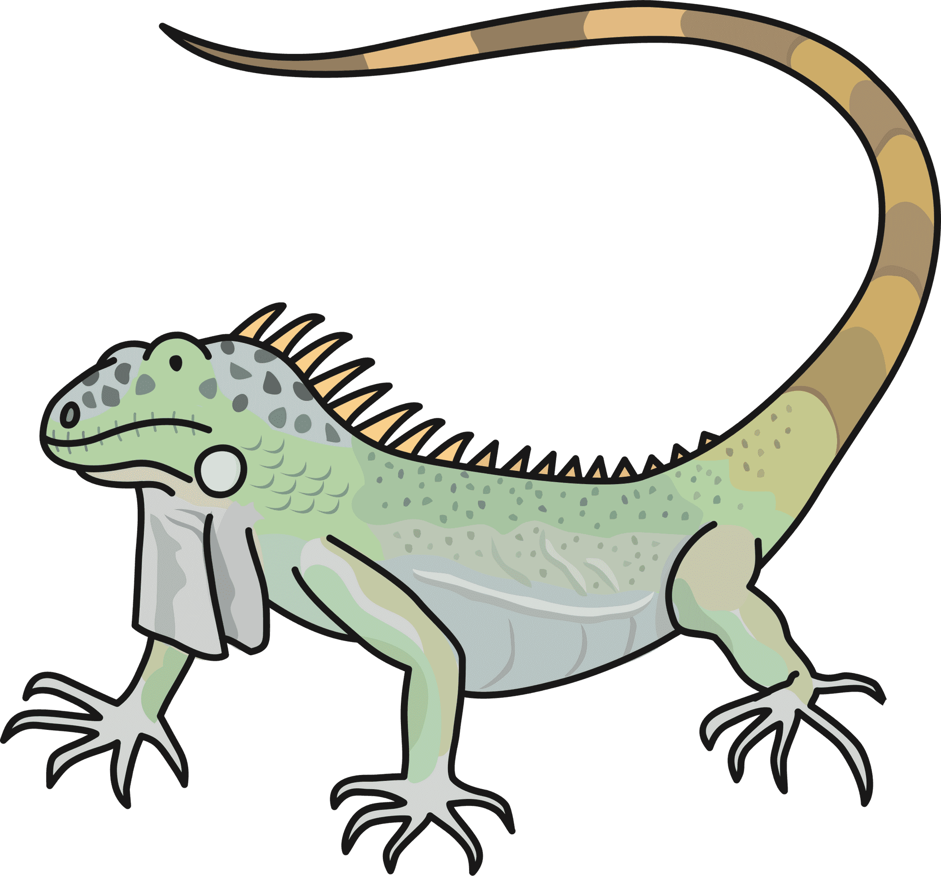 Cartoon Green Iguana Illustration PNG
