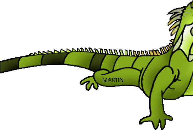 Cartoon Green Iguana PNG
