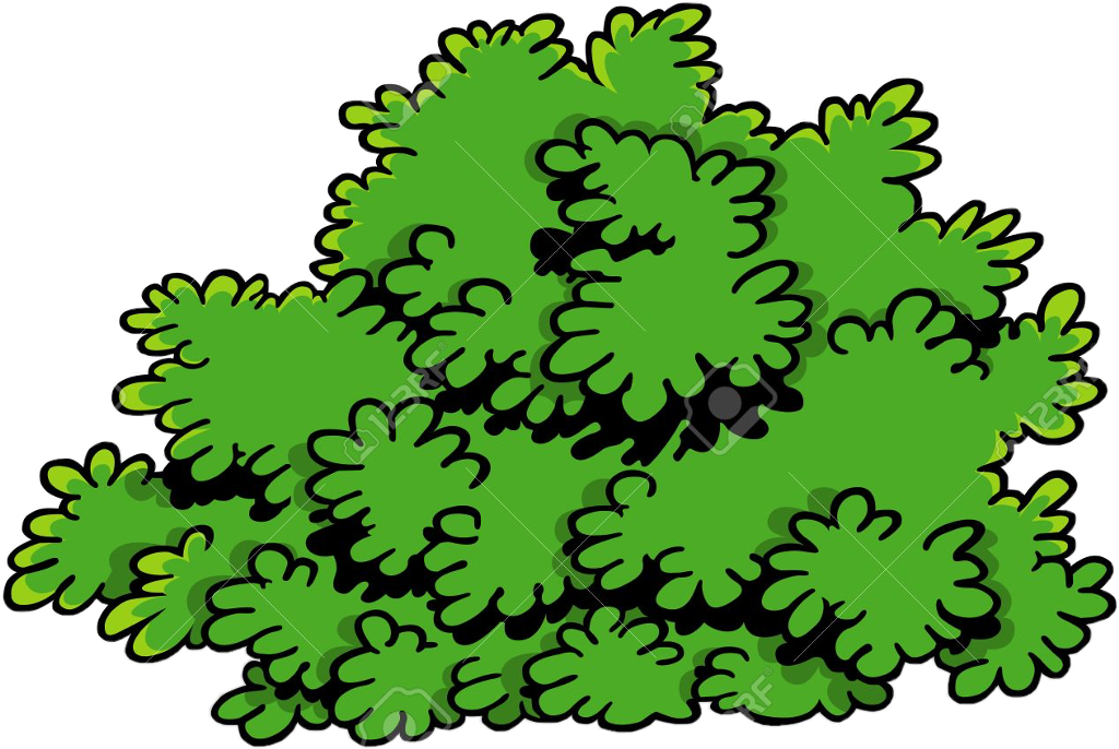 Cartoon Green Shrubbery PNG