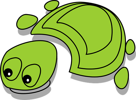 Cartoon Green Turtle Graphic PNG
