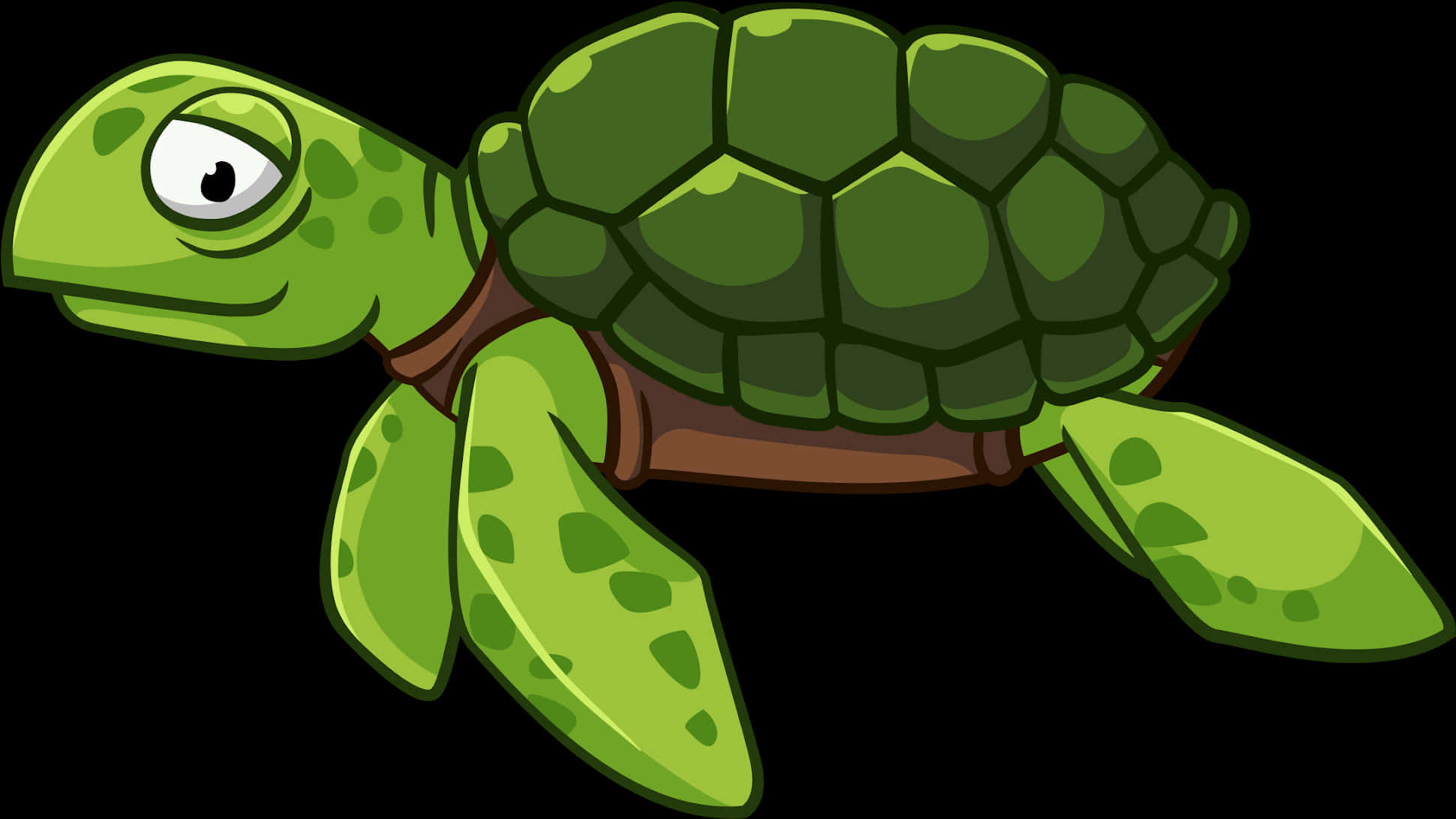 Cartoon Green Turtle Illustration PNG