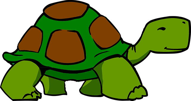 Cartoon Green Turtle Illustration PNG