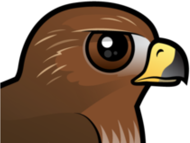 Cartoon Hawk Profile PNG