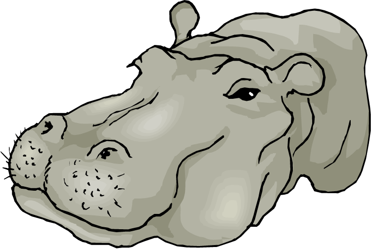 Cartoon Hippopotamus Head Illustration PNG