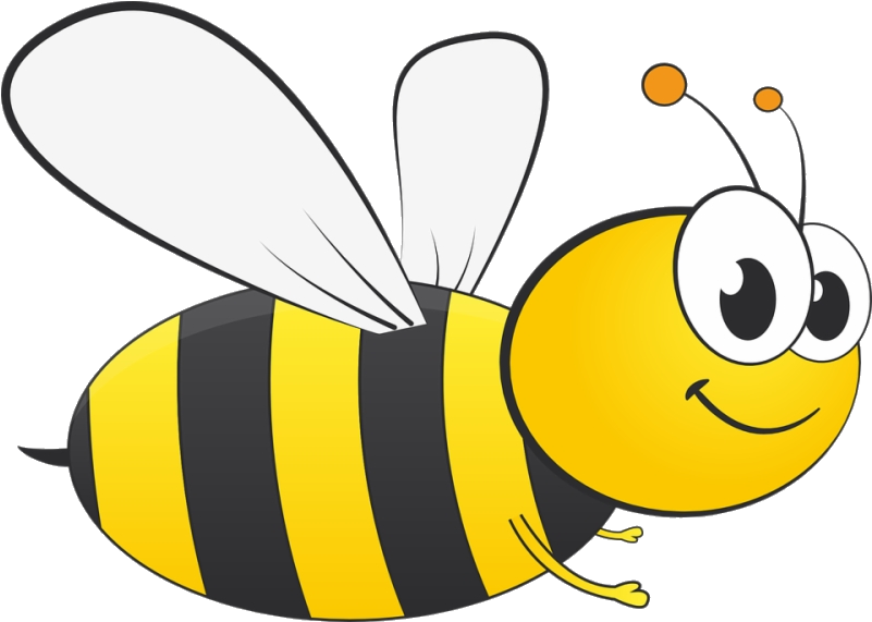 Cartoon Honey Bee Illustration PNG