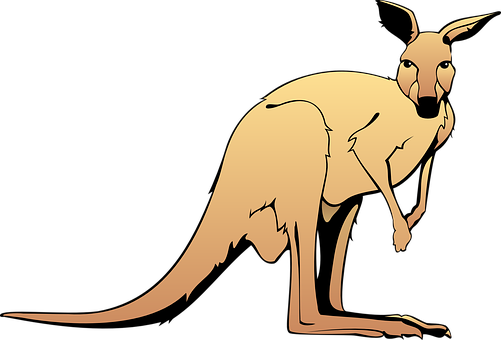 Cartoon Kangaroo Vector PNG