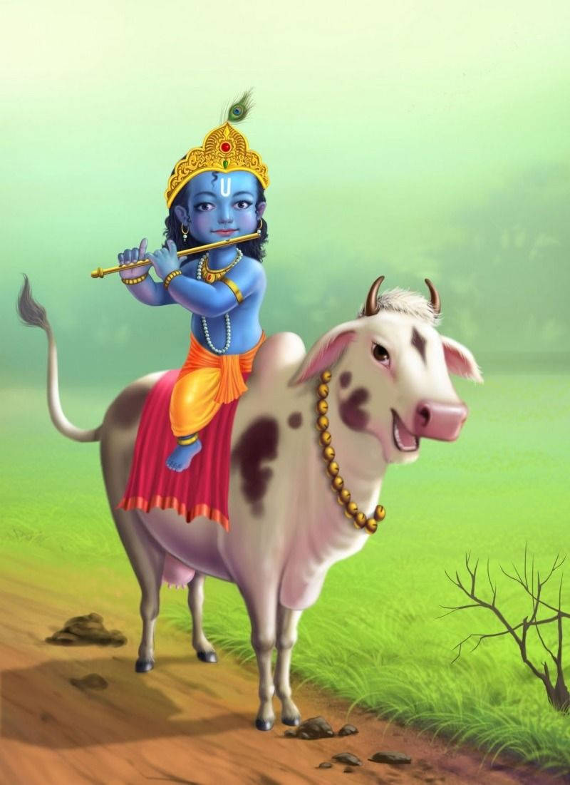 Download Cartoon Krishna On Cow Wallpaper 