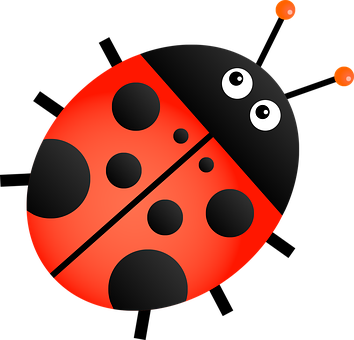 Cartoon Ladybug Graphic PNG