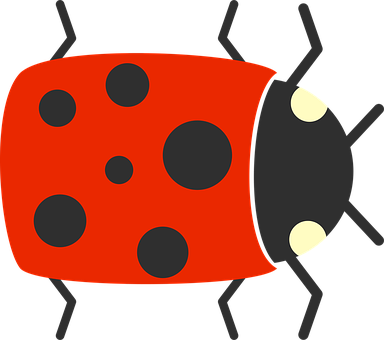 Cartoon Ladybug Illustration PNG