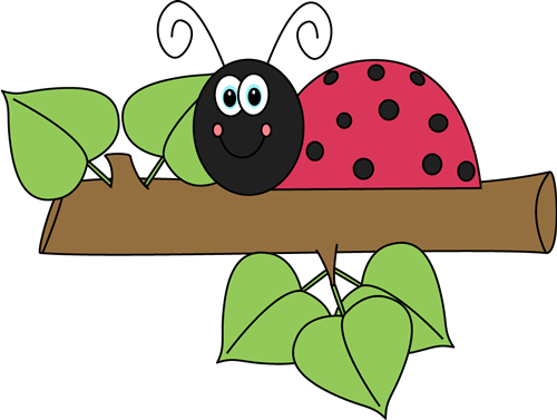 Cartoon Ladybugon Branch PNG