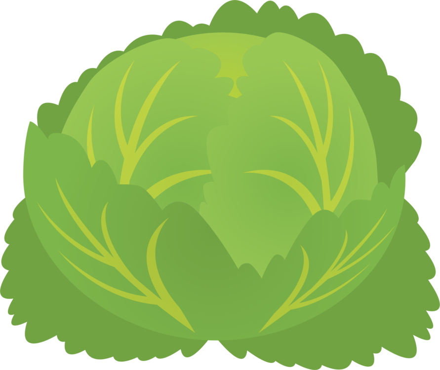 Cartoon Lettuce Graphic PNG