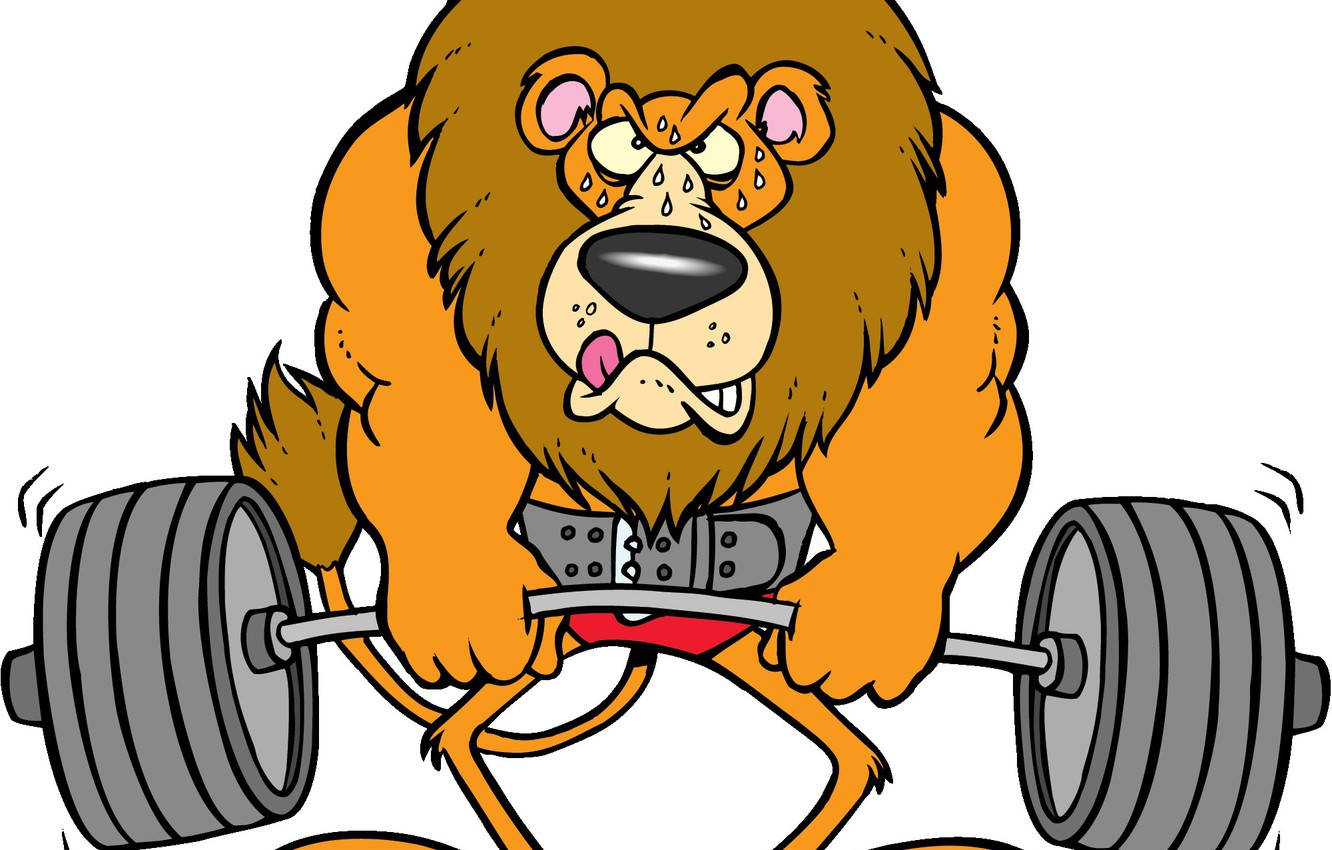 Download Cartoon Lion Weight Lifting Wallpaper 