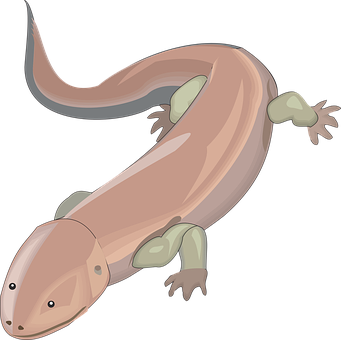 Cartoon Lizard Illustration PNG