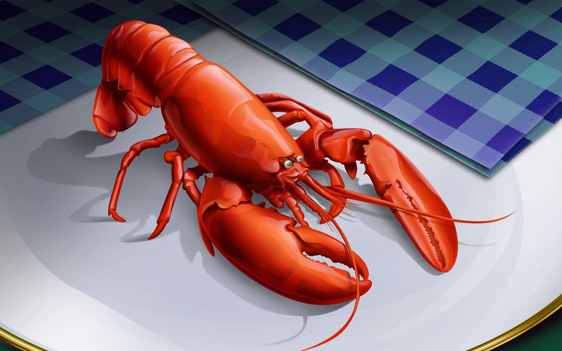 Cartoon Lobster Illustration Wallpaper