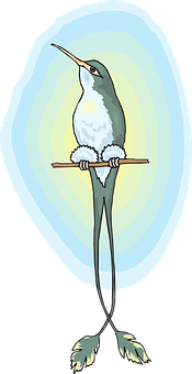 Cartoon Long Legged Bird PNG
