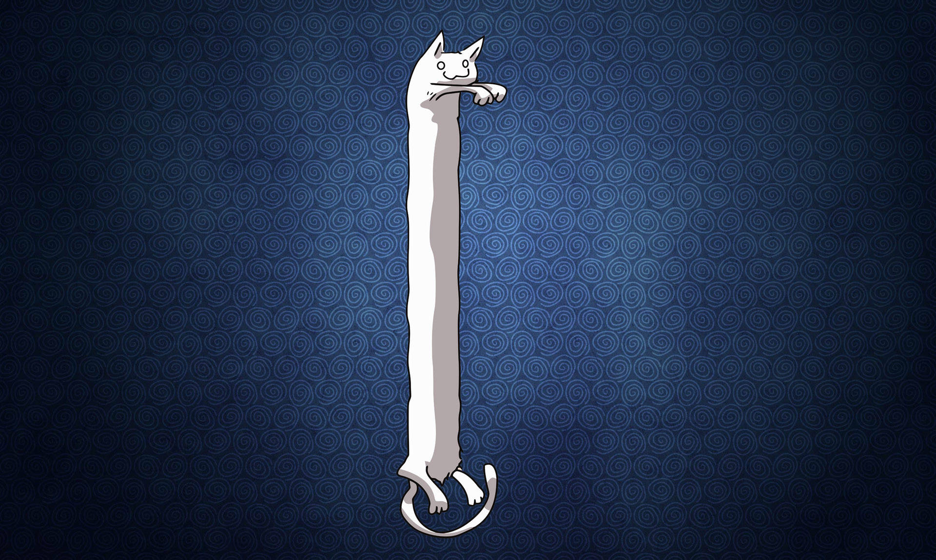 Long Cat stretching its way to success Wallpaper