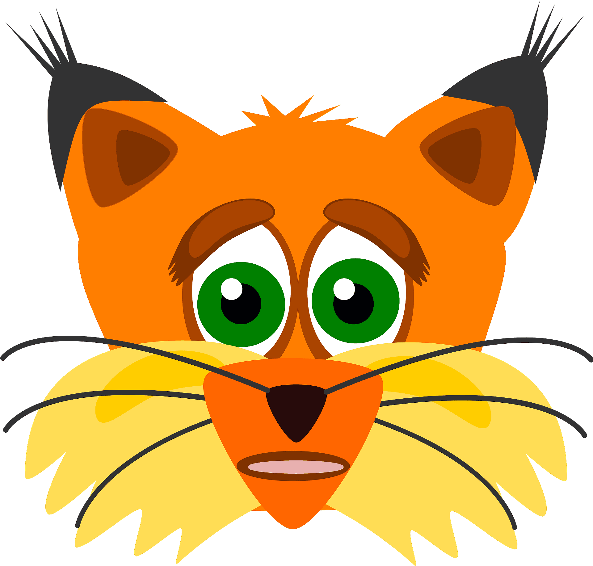 Cartoon Lynx Face Graphic PNG