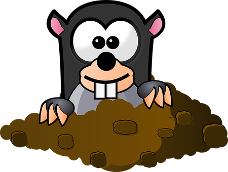 Cartoon Mole Peeking Out Of Hole PNG