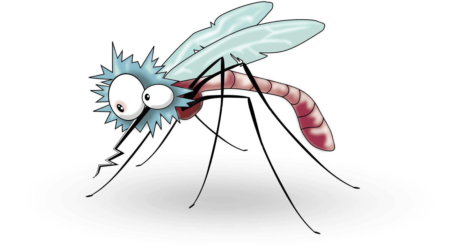 Cartoon Mosquito Illustration PNG