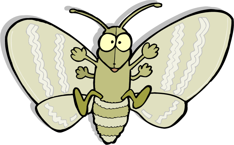 Cartoon Moth Illustration PNG