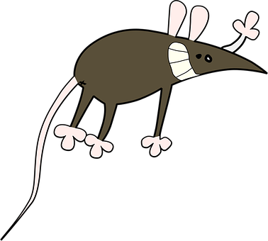 Cartoon Mouse Black Background PNG