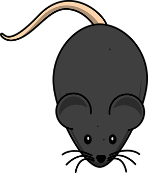Cartoon Mouse Top View Illustration PNG