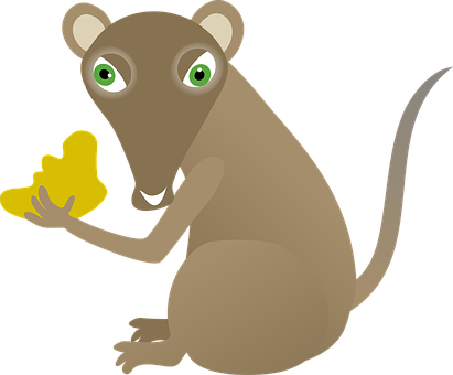 Cartoon Mousewith Cheese PNG