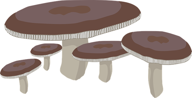 Cartoon Mushroom Family PNG