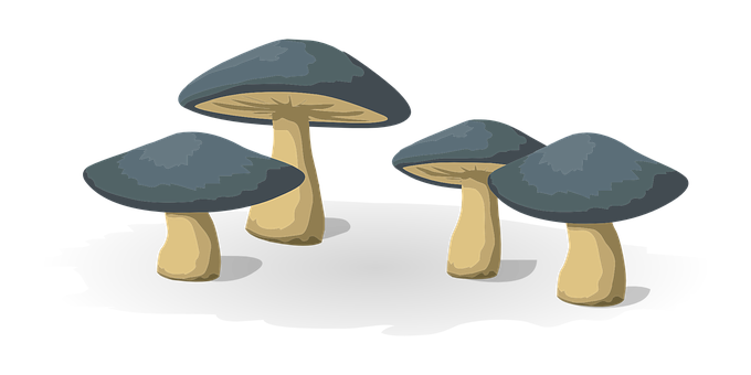 Cartoon Mushroomson Black Background PNG