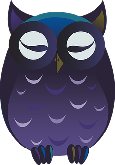 Cartoon Night Owl Graphic PNG