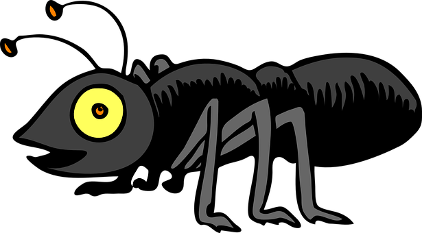 Cartoon Nighttime Insect PNG