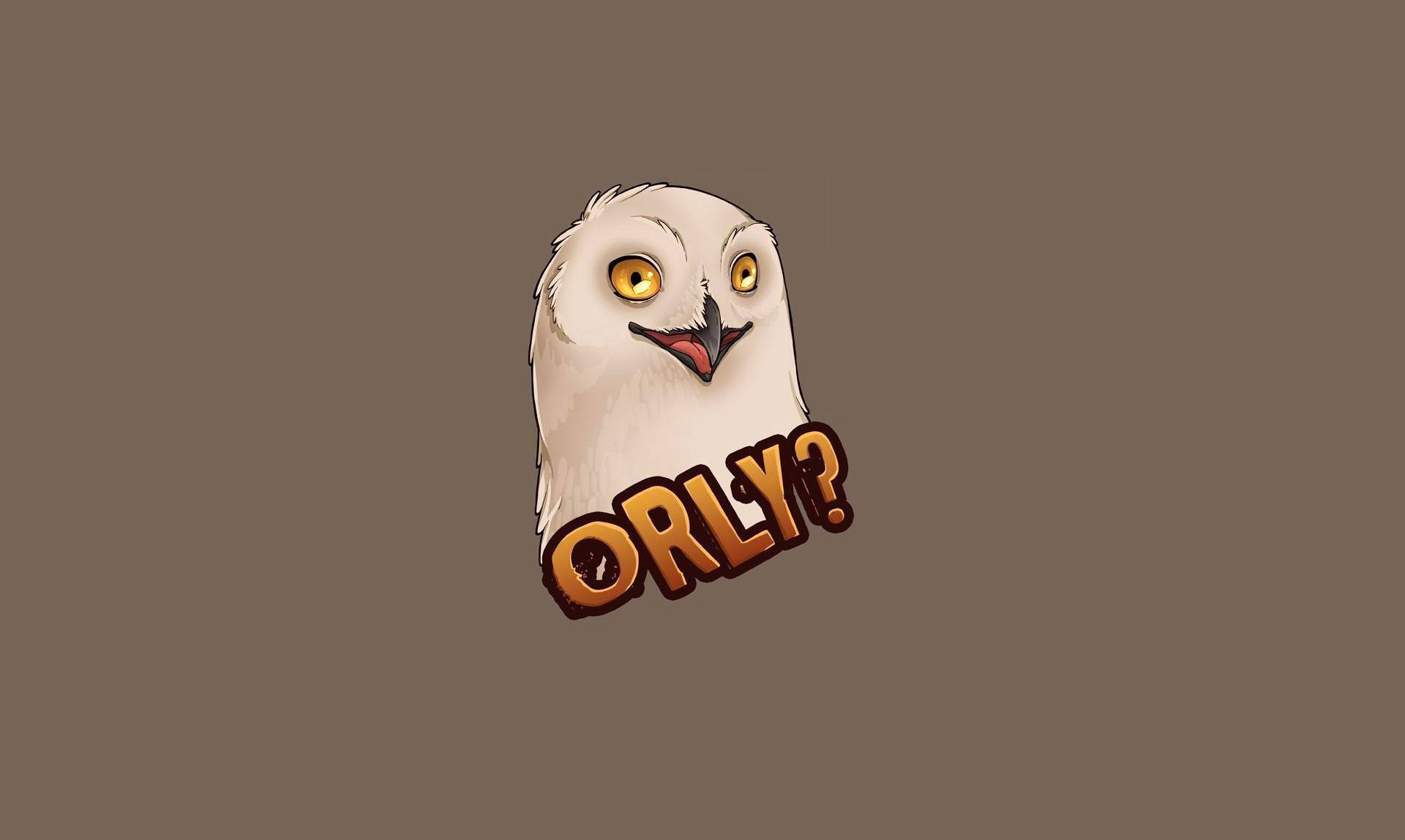 Cartoon O Rly Snowy Owl Meme Wallpaper