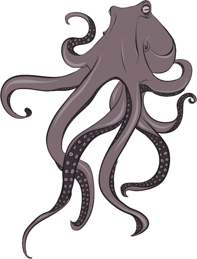 Cartoon Octopus Illustration PNG