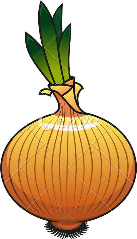 Cartoon Onion Illustration PNG