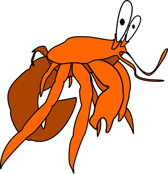 Cartoon_ Orange_ Hermit_ Crab_ Vector PNG
