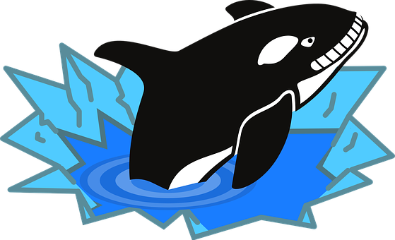 Cartoon Orca Breaking Ice PNG